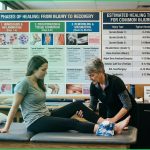 soft tissue healing stages
